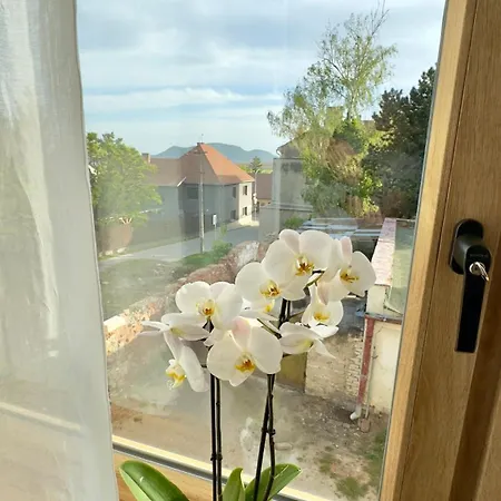 S Vyhledem Na Palavu Villa *