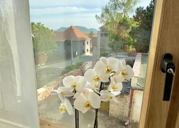S Vyhledem Na Palavu Villa *